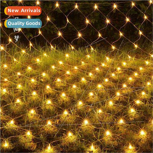LED outdoor lighting project Christmas Day wedding full star