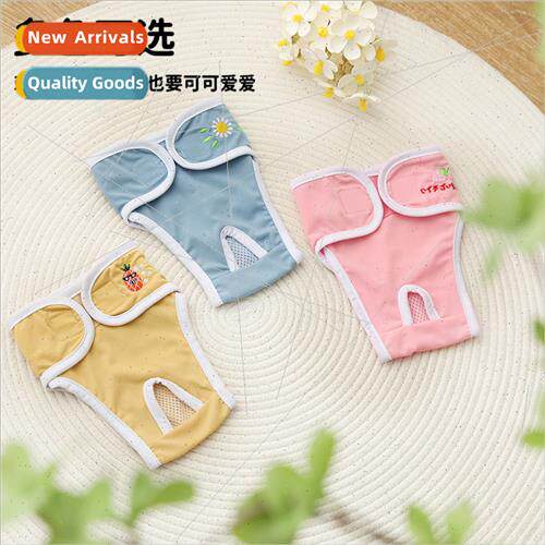 Dog physiological pants mother dog special Teddy aunt towel
