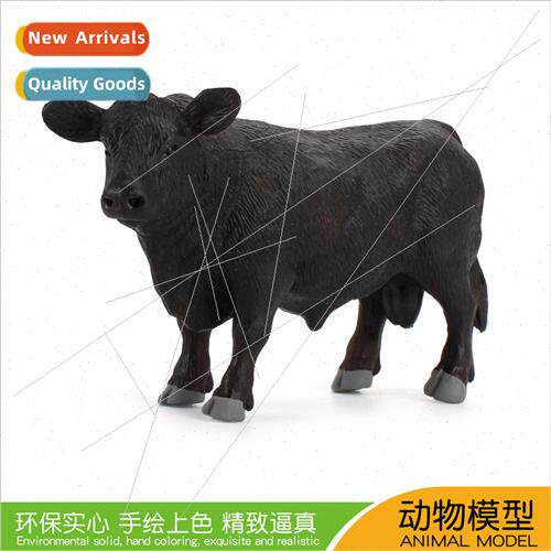 science education simulation ranch animals Black Angus bull