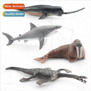 walrus sharp whe phantom shark great dragon whale Model nose