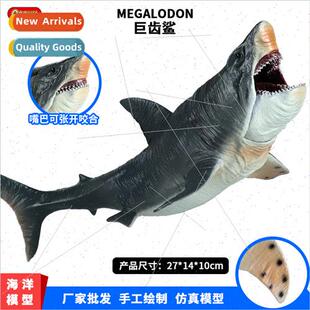 spiny armor shark Prehistoric megalodon chalk large model
