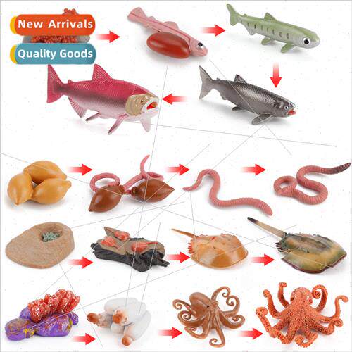 AnimalsInsectsFishGrowth Cycle ModelsEarthwormsSalmonHorsesh