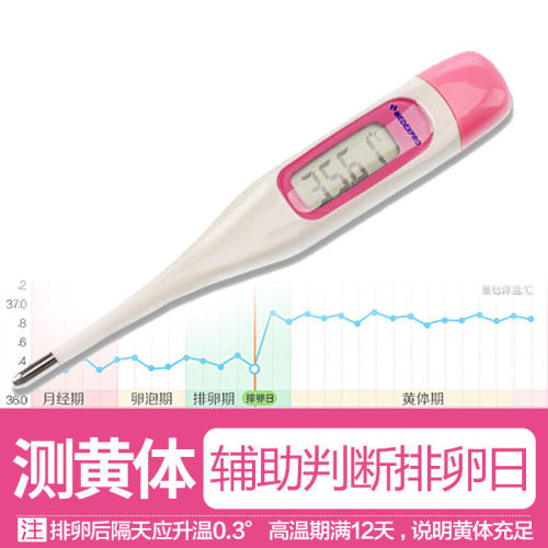 测排卵电子体温计女性基础家用