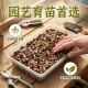 兰花专用土植料营养土君子兰蝴蝶兰种植颗粒松树皮兰草兰科兰花土
