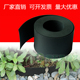 园林绿化草石隔离带 围树无管隔离带 PVC挡土板黑色挡水板隔根板