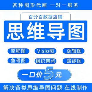 思维导图制作代画流程图Visio图逻辑图定制组织架构设计鱼骨图ppt