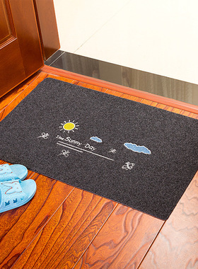 The door mats on the doormat mat carpet mat door 地垫