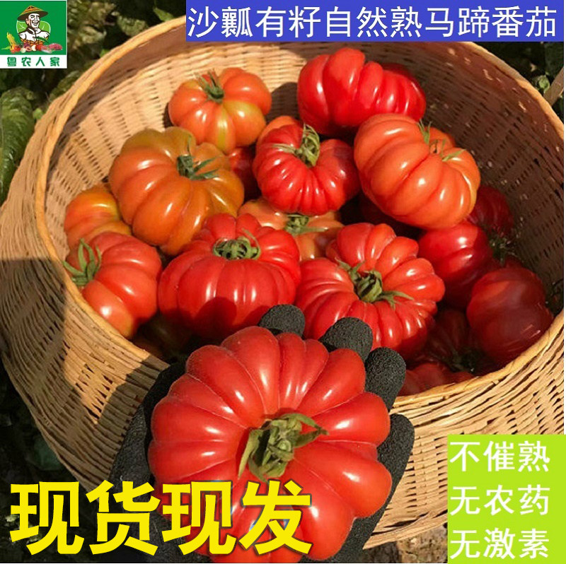 潮汕马蹄番茄 老品种非转基因自然熟西红柿孕妇新鲜水果3斤装包邮,水产肉类/新鲜蔬果/熟食,番茄,淘宝优惠券,粉丝福利购,淘宝优惠卷