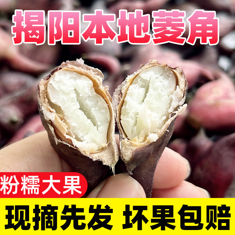 广东新鲜菱角5斤粉嫩农家莲角老品种红菱角带壳老菱角非洪湖菱角