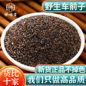 野生车前子500g250g100g克车前子车前籽车前草籽中药材茶泡水新鲜