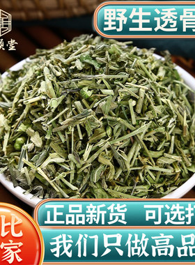 正品透骨草500g克野生 可磨透骨草粉中药透骨草 珍珠透骨草中药材