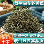 野生白花蛇舌草中药材500g新鲜百花蛇舌草茶另售半枝莲铁树叶大枣