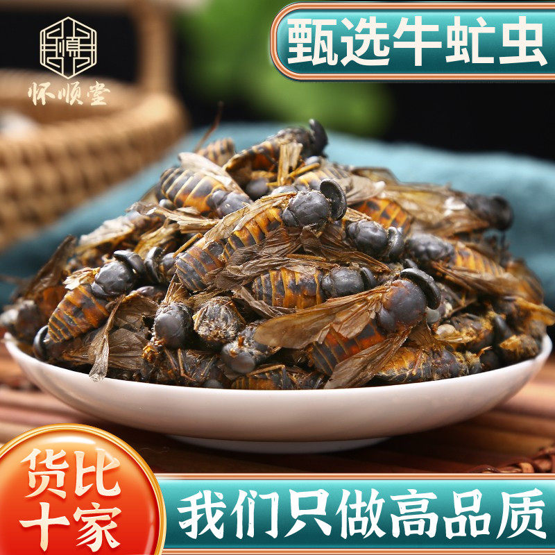 牛虻虫100克g 虻虫粉 牛虻 牛蚊子 正品牛苍蝇瞎虻虫牛虻干中药材