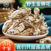 野生金蝉花100克50g中药材新货婵花蝉花虫草孢子粉知了花官方正品