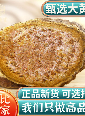 大黄中药材500g克新货四川正品大黄马蹄黄可磨大黄粉野生大黄片