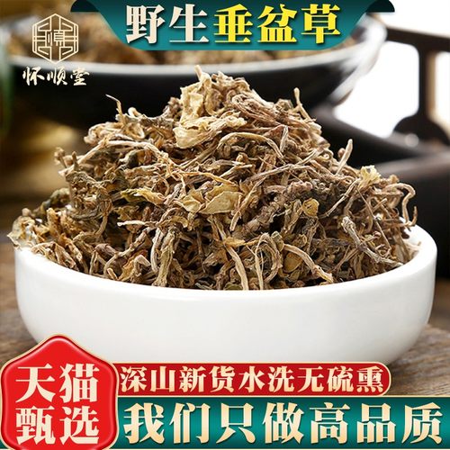 野生垂盆草中药材正品正宗泡水