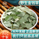 野生金钱草500g250g100g中草药正宗中药材泡水茶另售鸡内金海金沙