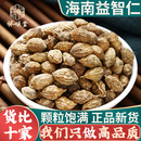 泡水益智仁茶益智仁另售芡实远志伸筋草 新货益智仁中药材500g正品