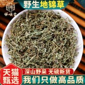 铺地锦 地锦草中药材500g克 奶汁草 血见愁 小飞扬草 别名草血竭