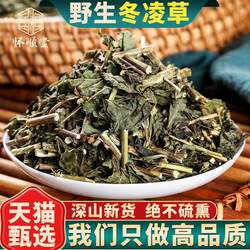 野生冬凌草500g克中药材新鲜王屋山济源冬凌咽喉草泡茶泡水冰凌草