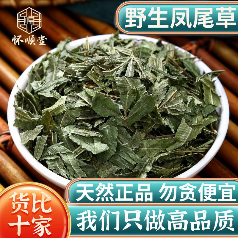 野生凤尾草中药材500克g正品新货