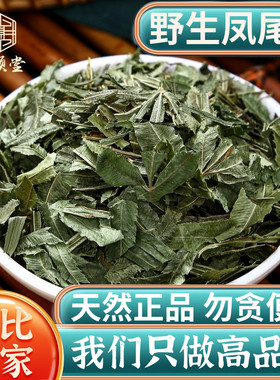 野生凤尾草中药材500克g凤尾草中草药鸡脚草金鸡尾井边凤尾五指草