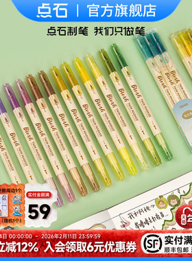 点石马克笔水性大毛刷手账笔套装双头画笔绘画软头Brush花体英文水性笔简约手帐素材美术动漫水彩笔302E