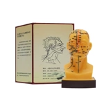 Модель иглоукалывания головы модели иглоукалывания.