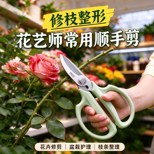 得力园艺剪刀花卉支果树修枝专用园林剪子省力嫁接家用采摘花艺师
