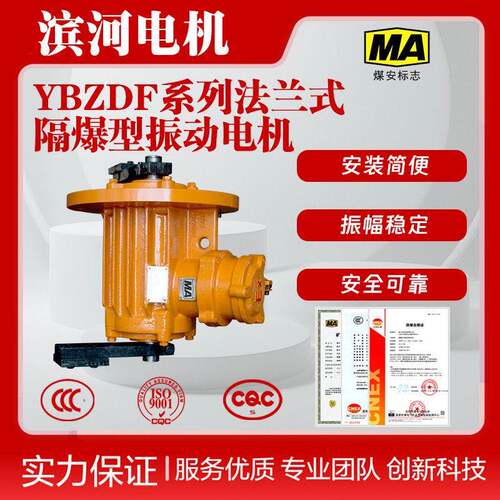 滨河YBZDF-20-4法兰式振动电机三相异步立式安装IP65防护安全可靠