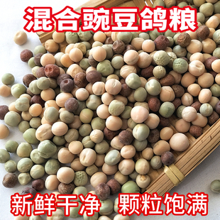 10斤豌豆组合鸽粮饲料枫豆绿豌豆类混合鸽粮高蛋白赛鸽信鸽成鸽饲