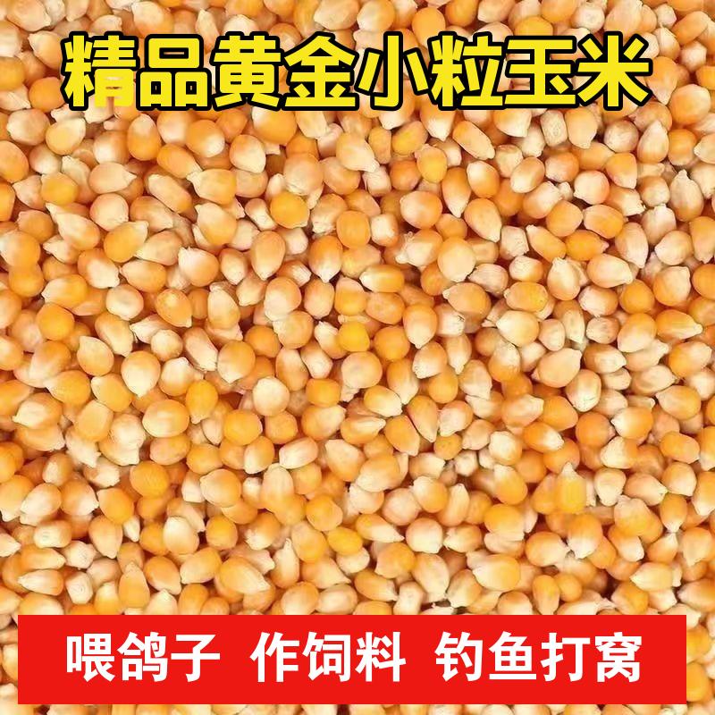 饲料玉米粒喂鸡鸭鹅喂鸽子
