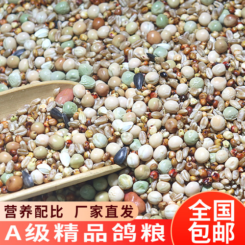 精品鸽粮有玉米无玉米鸟食饲料鸽子用品大全保健砂幼鸽成鸽观赏鸽