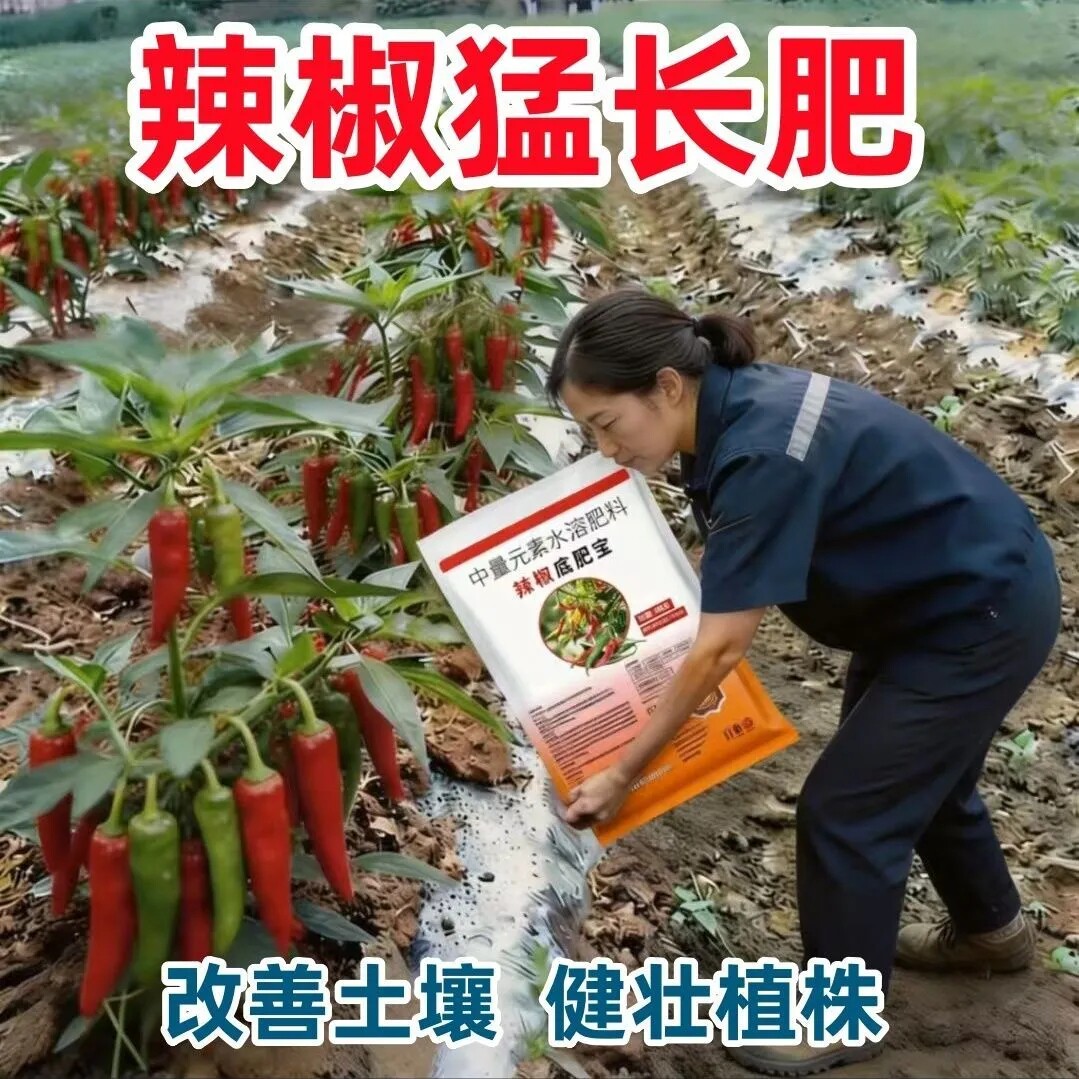 巴宝辣椒生根壮苗剂提苗爆长
