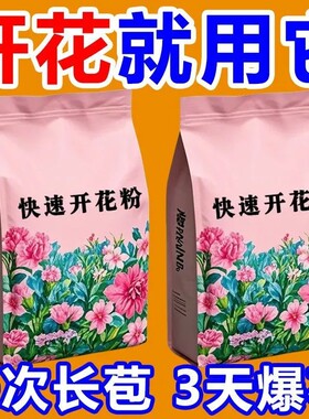 快速开花粉通用型玫瑰月季花