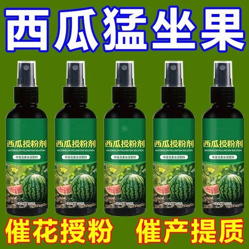 西瓜专用免稀释快速授粉涂膜剂