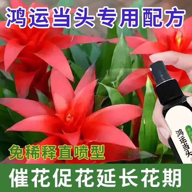 植物营养液免稀释通用