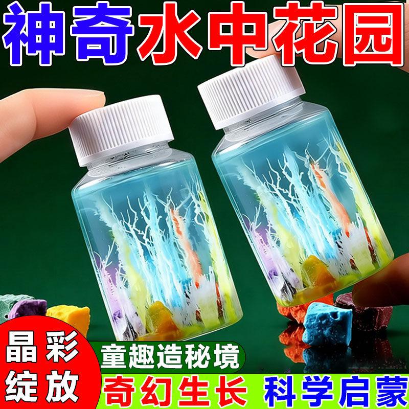 水中花园儿童益智DIY科学实验