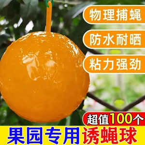 果树诱蝇球粘虫防霉防蛀