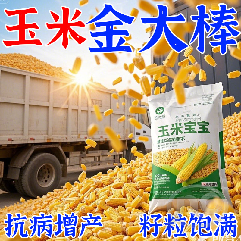 【玉米专用】园艺叶面肥高产肥玉米增产种菜玉米有机基肥复合肥料