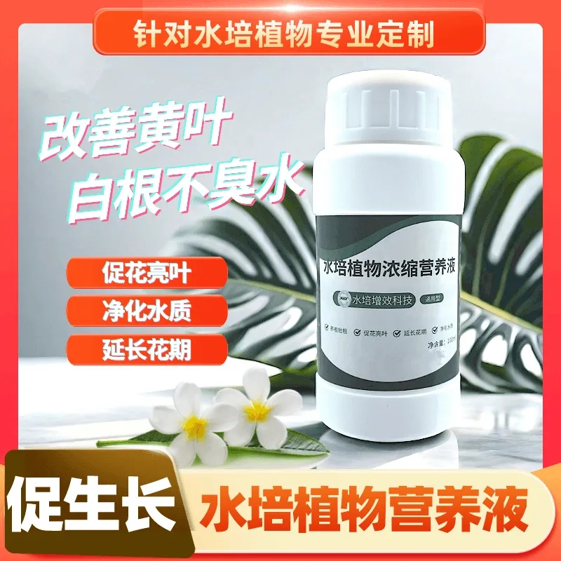 强效水培植物专用营养液观音竹富贵竹郁金香铜钱草通用型清仓蓬松