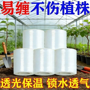 PE材质果树嫁接膜专用膜缠绕膜免拆自粘膜果树嫁接膜PE高韧性嫁接