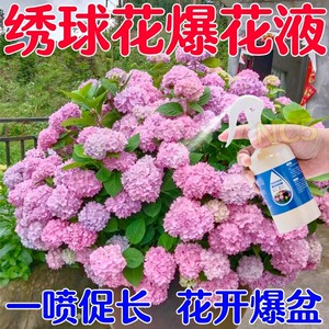 绣球花专用肥调色剂营养液壮根花艳催花促花防黄叶延长花期液体肥