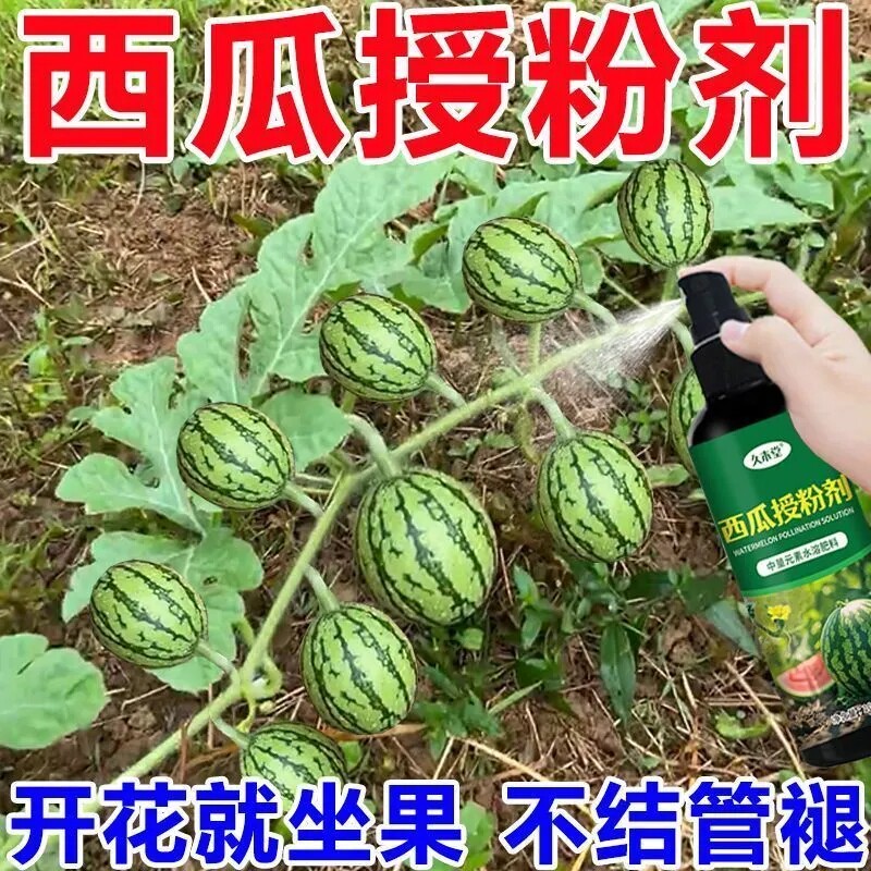 西瓜授粉剂点花免沾保花保果
