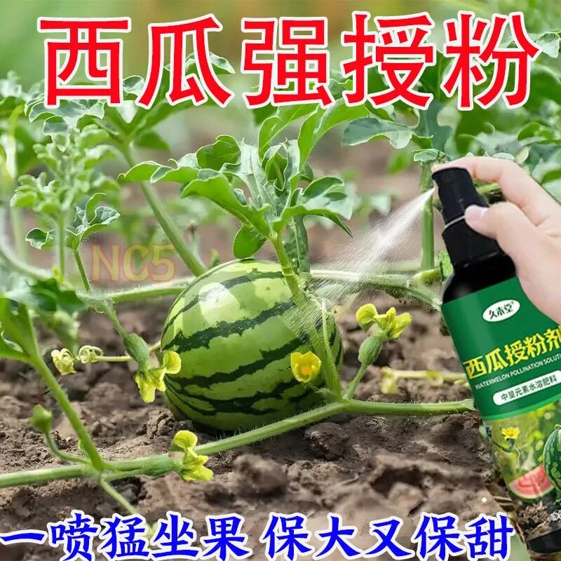买2送3】西瓜肥料西瓜专用肥料免稀释快速授粉有机肥涂膜剂喷剂
