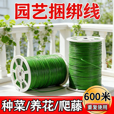 多功能加粗园艺爬藤捆扎线