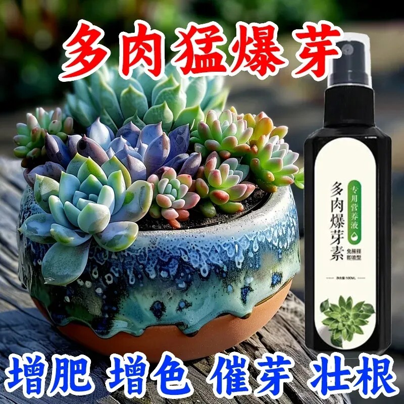 【限时特价】肉多多营养液爆芽爆根王多肉爆盆专用肥促发芽礼品