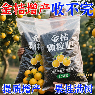 新型金桔专用肥料金桔树叶面肥金桔保花保果防落果催芽防叶子发黄