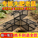 加大高效老鼠笼捕鼠器捕鼠神器捕鼠笼家用捕鼠笼鼠驱鼠膏凝胶强效
