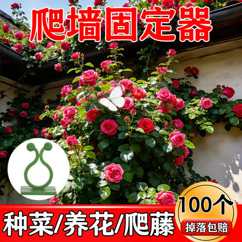升级款蔷薇月季爬藤爬墙固定器